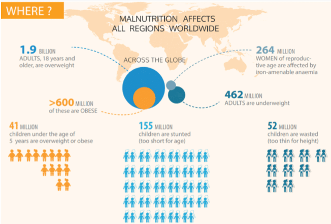 Global Health Series – Part 2: Malnutrition – where, why and how to intervene?