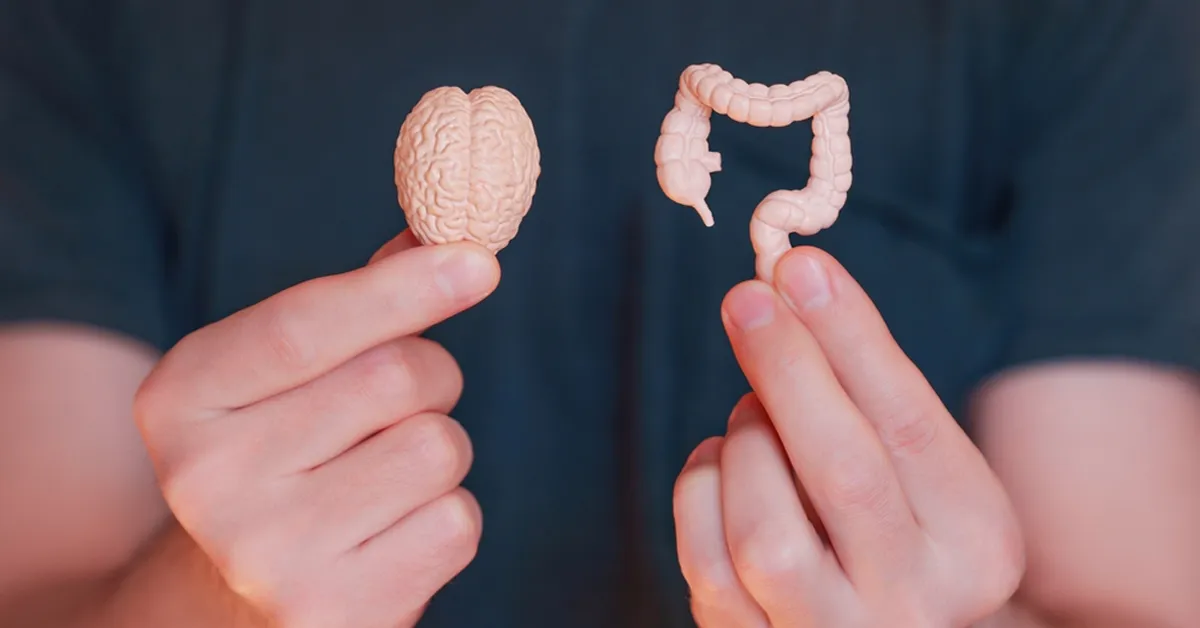 The power of gut-brain connection- food, mood and microbes